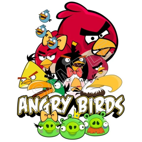 Angry Birds  T Shirt Iron on Transfer Decal ~#69