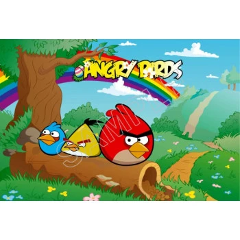 Angry Birds  T Shirt Iron on Transfer  Decal  ~#78