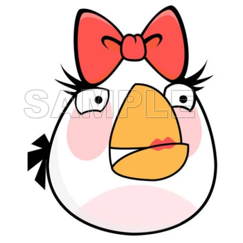 Angry Birds  T Shirt Iron on Transfer  Decal  ~#8