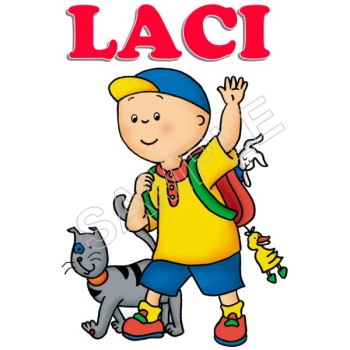 Caillou  Personalized  Custom  T Shirt Iron on Transfer Decal ~#75
