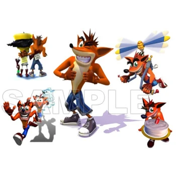 Crash Bandicoot T Shirt Iron on Transfer Decal ~#1