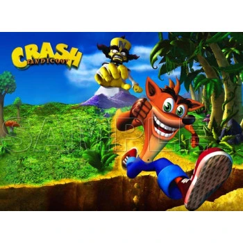 Crash Bandicoot T Shirt Iron on Transfer Decal ~#5