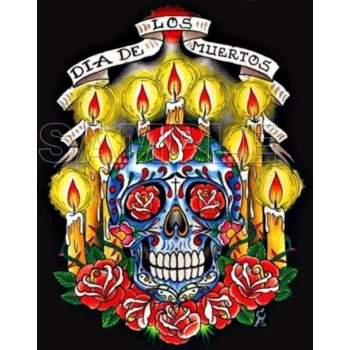 Day of the Dead  D?a de Muertos Skull T Shirt Iron on Transfer Decal ~#4