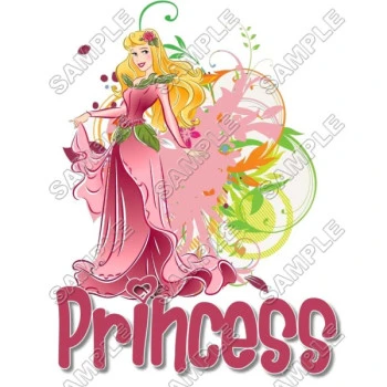 Disney Princess Aurora  T Shirt Iron on Transfer Decal ~#19