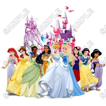 Disney Princess Castle T Shirt Iron on Transfer Decal ~#16