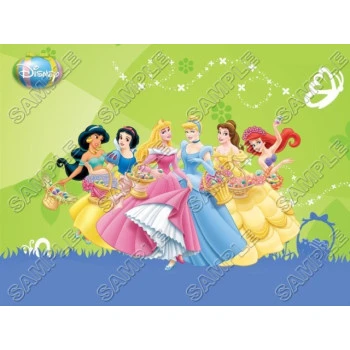 Disney Princess Easter T Shirt Iron on Transfer Decal ~#30