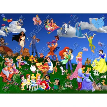 Disney Princess Heroes T Shirt Iron on Transfer Decal ~#29