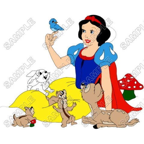 Disney Princess Snow White  T Shirt Iron on Transfer Decal ~#3