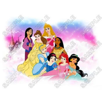 Disney Princess T Shirt Iron on Transfer Decal ~#14