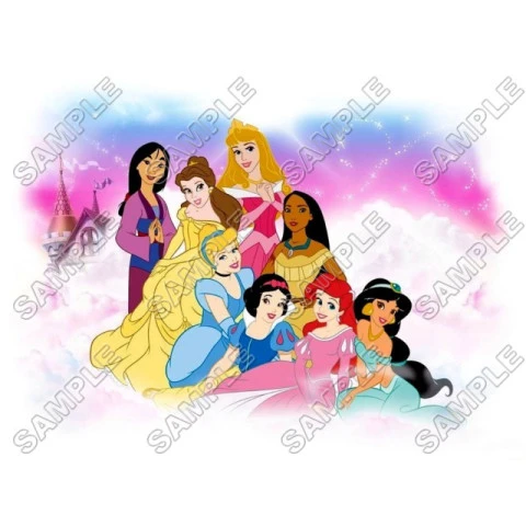 Disney Princess T Shirt Iron on Transfer Decal ~#14