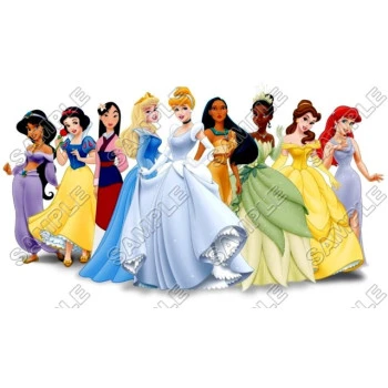 Disney Princess T Shirt Iron on Transfer Decal ~#15