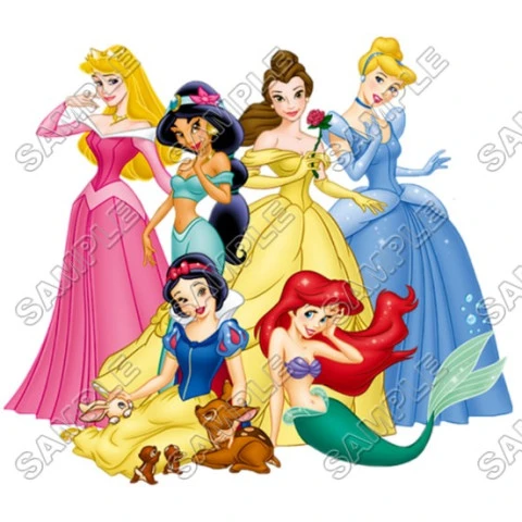 Disney Princess T Shirt Iron on Transfer Decal ~#18
