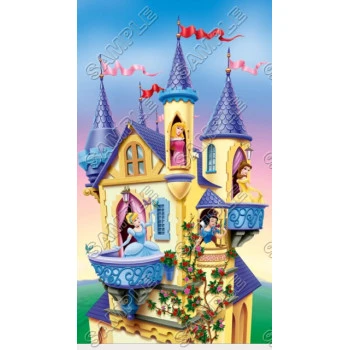 Disney Princess T Shirt Iron on Transfer Decal ~#28