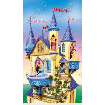 Disney Princess T Shirt Iron on Transfer Decal ~#28