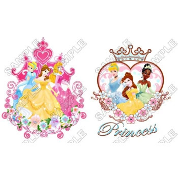 Disney Princess T Shirt Iron on Transfer Decal ~#33