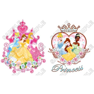 Disney Princess T Shirt Iron on Transfer Decal ~#33