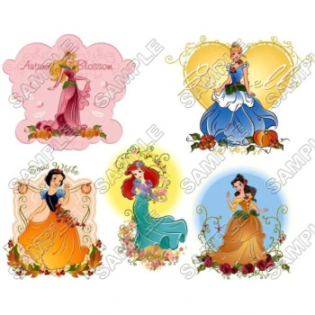 Disney Princess T Shirt Iron on Transfer Decal ~#34