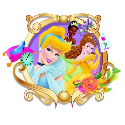 Disney Princess T Shirt Iron on Transfer Decal ~#4