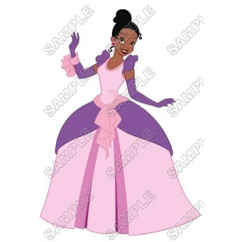 Disney Princess Tiana  T Shirt Iron on Transfer Decal ~#10