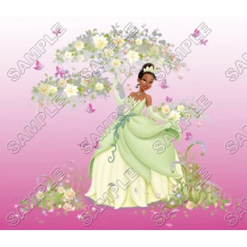 Disney Princess Tiana T Shirt Iron on Transfer Decal ~#9