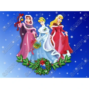 Disney princess  Christmas  T Shirt Iron on Transfer  Decal ~#56