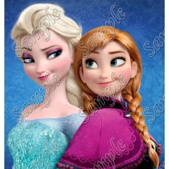 Frozen Elsa Anna  T Shirt Iron on Transfer  Decal  ~#15