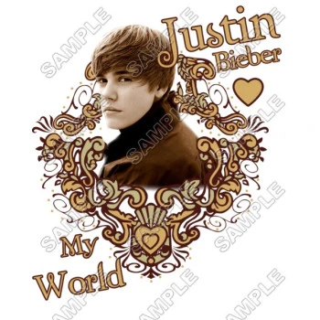 Justin Bieber T Shirt  Iron on Transfer Decal ~#8