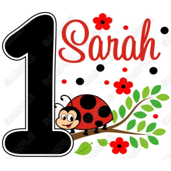 LADYBUG LADY BUG  Birthday  Personalized  Custom  T Shirt Iron on Transfer Decal ~#1