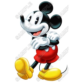 Mickey Mouse T Shirt Iron on Transfer Decal ~#17