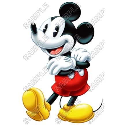 Mickey Mouse T Shirt Iron on Transfer Decal ~#17