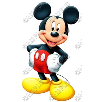 Mickey Mouse T Shirt Iron on Transfer Decal ~#20