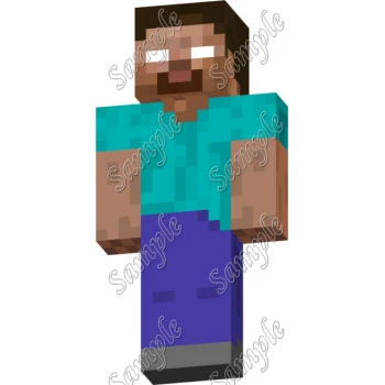 Minecraft  T Shirt Iron on Transfer  Decal  ~#7