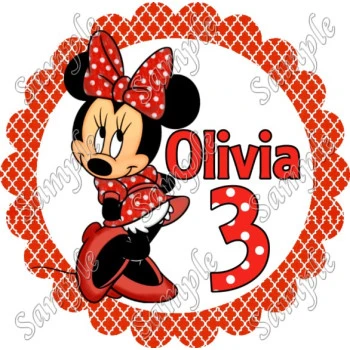 Minnie Mouse  Birthday  Custom Personalized  T Shirt Iron on Transfer Decal ~#2
