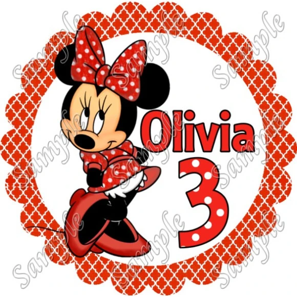 Minnie Mouse  Birthday  Custom Personalized  T Shirt Iron on Transfer Decal ~#2