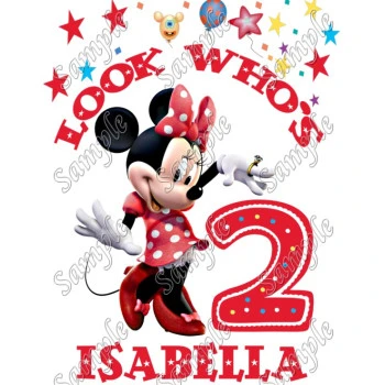 Minnie Mouse  Birthday Personalized Custom  T Shirt Iron on Transfer Decal ~#66