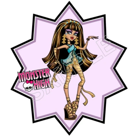 Monster High T Shirt Iron on Transfer  Decal  ~#1