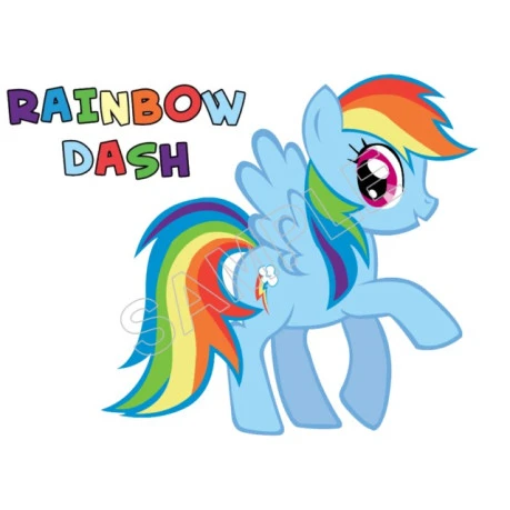 My Little Pony  Rainbow Dash T Shirt Iron on Transfer Decal ~#1