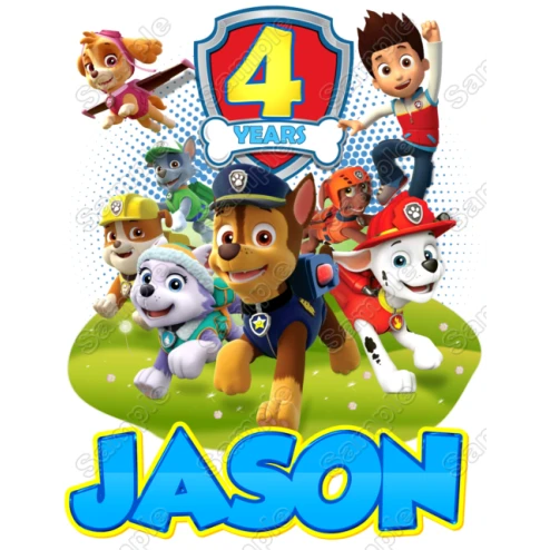 PAW PATROL Birthday Custom Personalized  Shirt Iron on Transfer ~#67