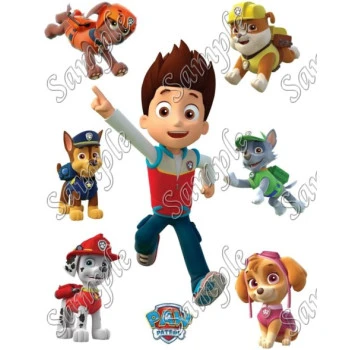 PAW Patrol  T Shirt Iron on Transfer  Decal  ~#10