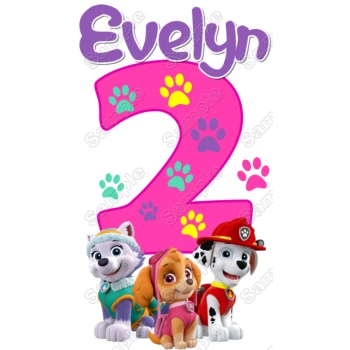 Paw Patrol Everest  Marshall  Birthday Custom Personalized  Shirt Iron on Transfer ~#50