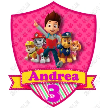 Paw Patrol Girls Birthday Custom Personalized T Shirt Iron on Transfer Decal ~#9