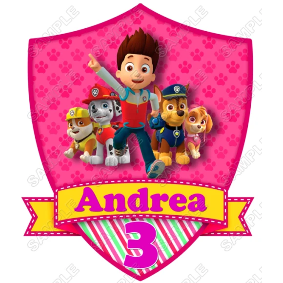 Paw Patrol Girls Birthday Custom Personalized T Shirt Iron on Transfer Decal ~#9