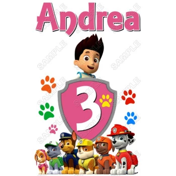 Paw Patrol Girls Personalized  Custom  Birthday T Shirt Iron on Transfer Decal ~#1