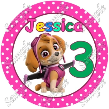 Paw Patrol Skye Birthday  Custom Personalized  T Shirt Iron on Transfer Decal ~#2