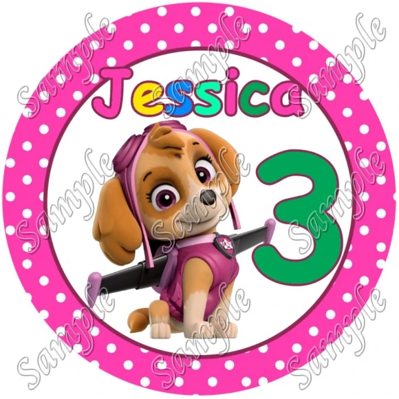 Paw Patrol Skye Birthday  Custom Personalized  T Shirt Iron on Transfer Decal ~#2