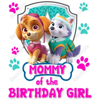 Paw Patrol  Skye Everest   Birthday Custom Personalized  Iron on Transfer ~#10