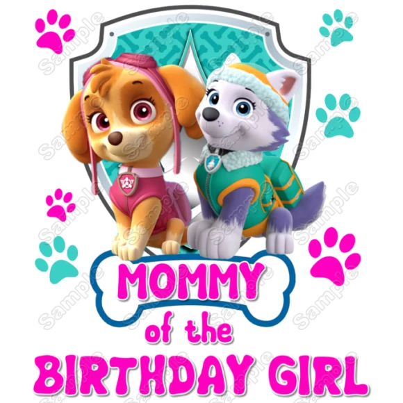 Paw Patrol  Skye Everest   Birthday Custom Personalized  Iron on Transfer ~#10