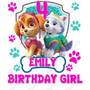 Paw Patrol  Skye Everest   Birthday Custom Personalized  Iron on Transfer ~#11