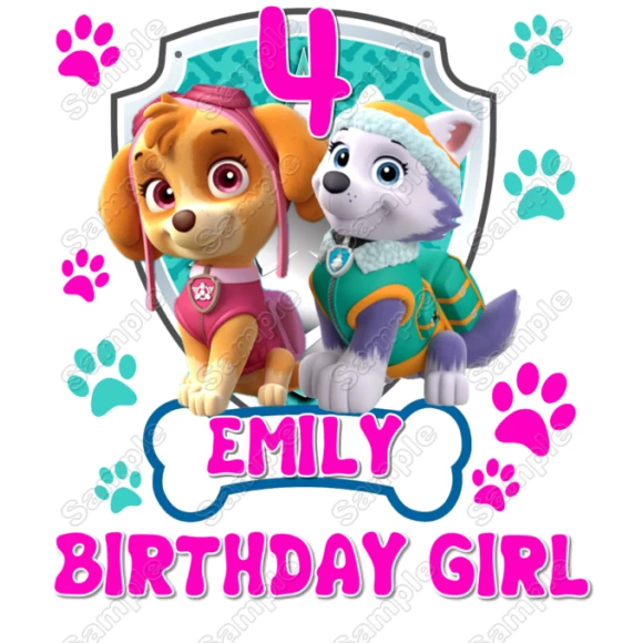 Paw Patrol  Skye Everest   Birthday Custom Personalized  Iron on Transfer ~#11