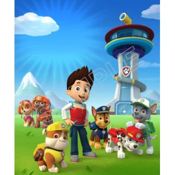 Paw Patrol T Shirt Iron on Transfer  Decal  ~#9
